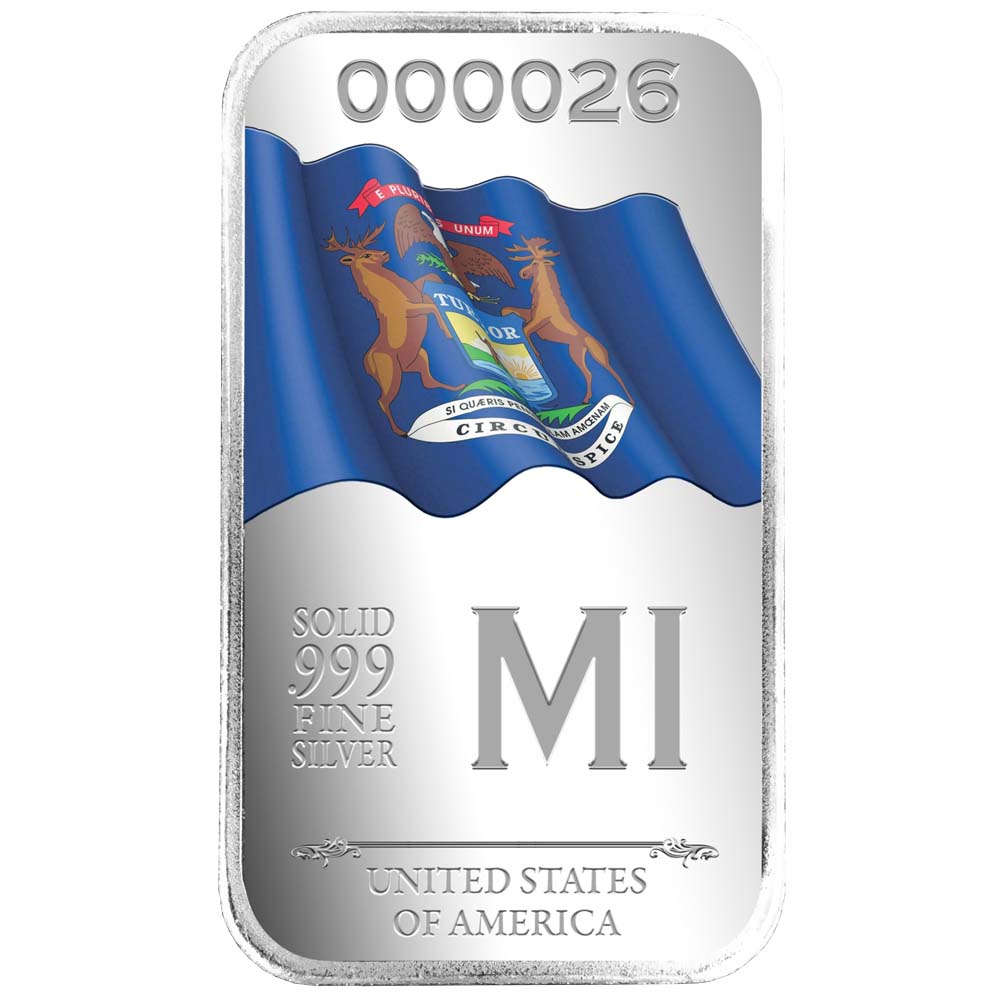 State Flag Silver Vault Bags